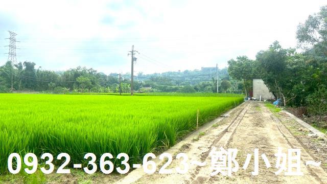 龍潭農地-11