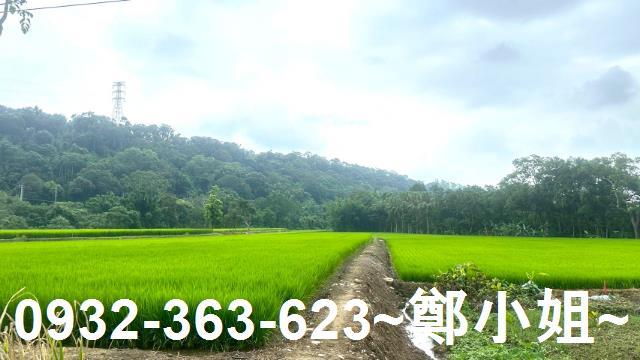 龍潭農地-12