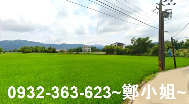 龍潭農地-8