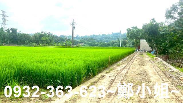 龍潭農地-9