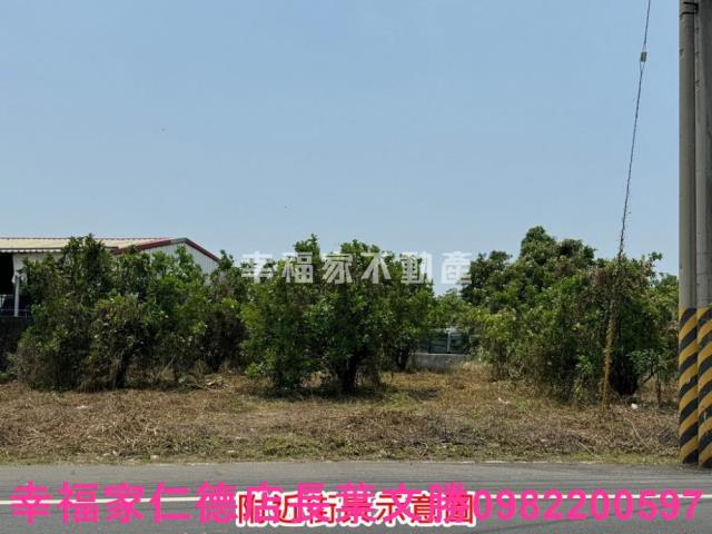麻豆農地-12