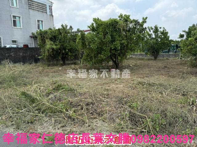 麻豆農地-13