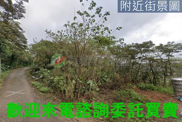 新北農地-2