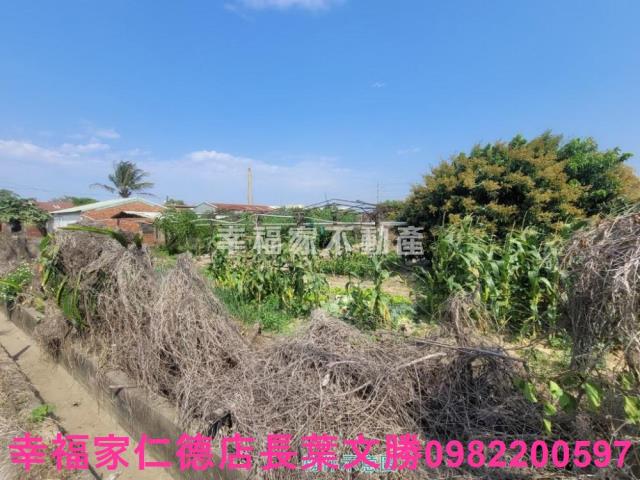 台南仁德農地-2