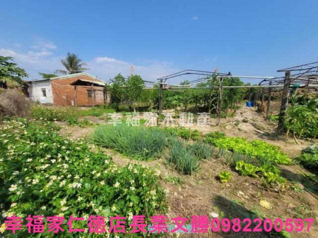 台南仁德農地-3