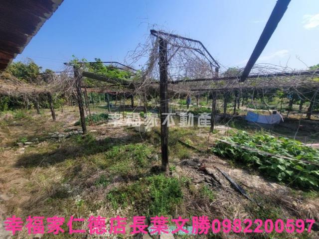 台南仁德農地-5