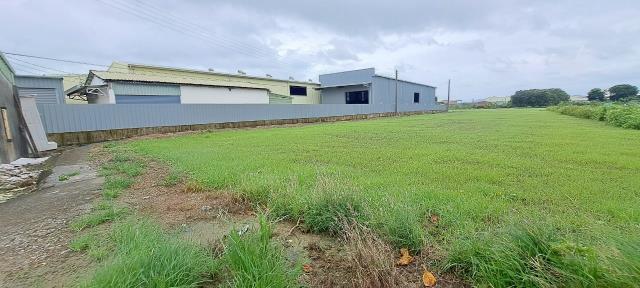 高雄彌陀農地-2