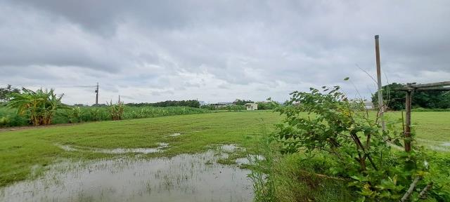 高雄彌陀農地-4