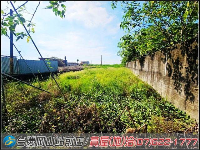 高雄橋頭農地-6