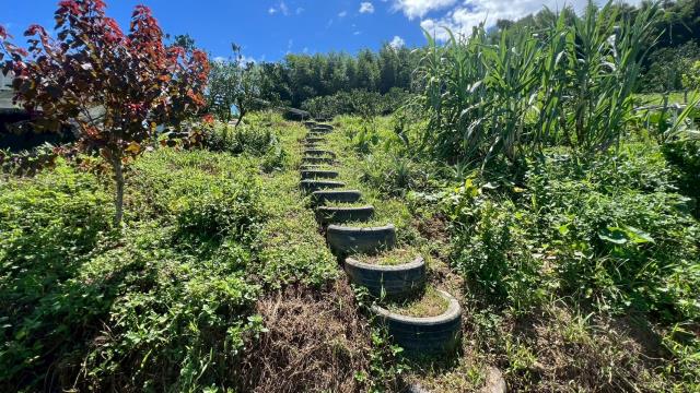新竹峨眉農地-13