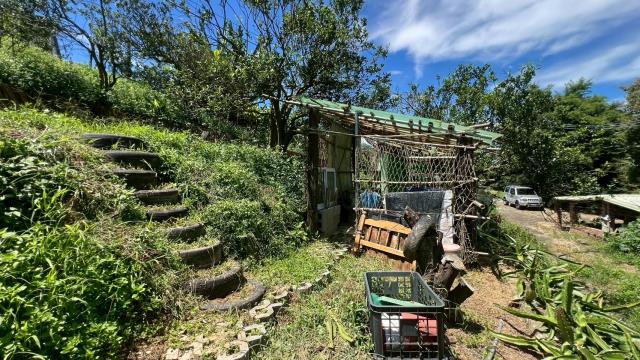 新竹峨眉農地-15