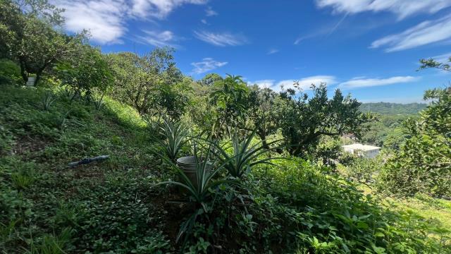 新竹峨眉農地-6