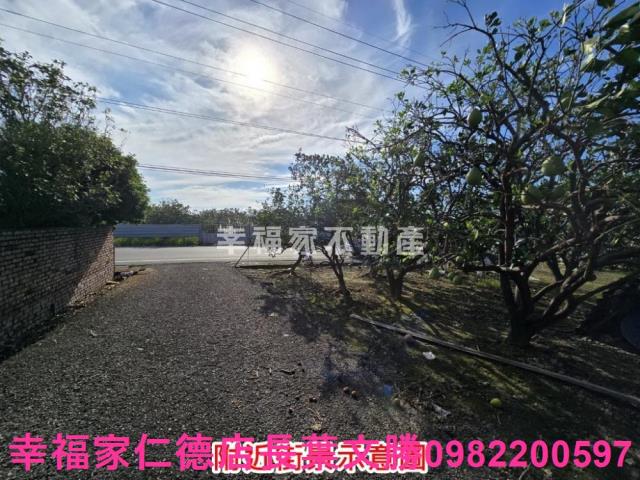 麻豆農地-12