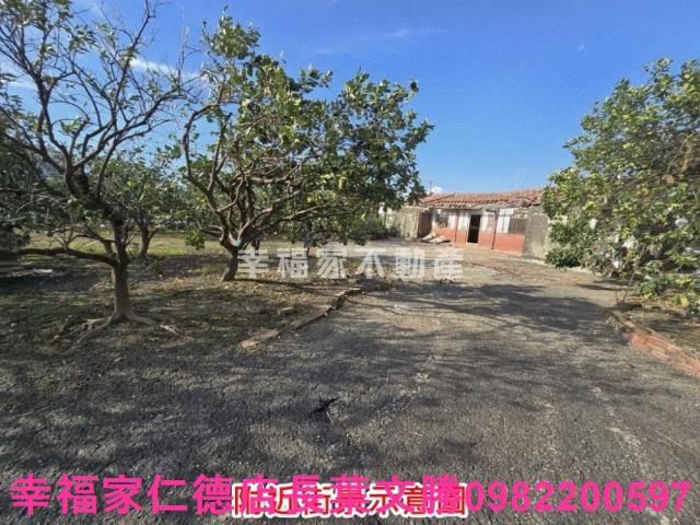 麻豆農地-14