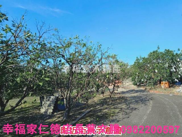麻豆農地-4