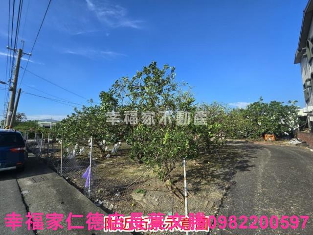 麻豆農地-5