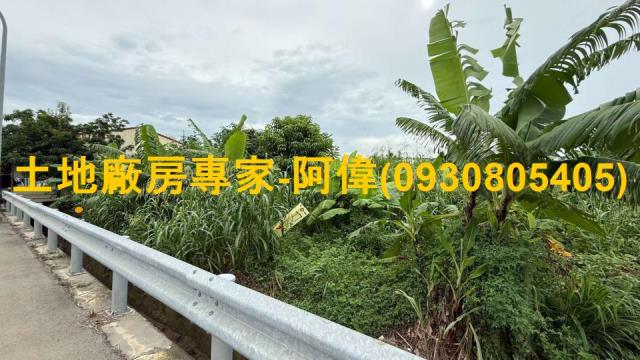 大樹農地-1