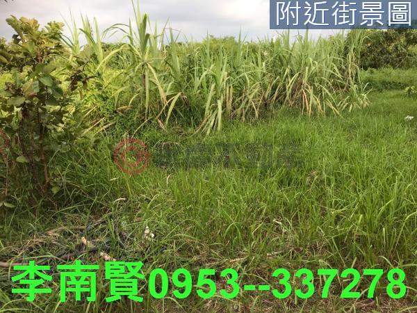 台南農地-8