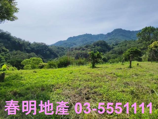 新竹農地-3