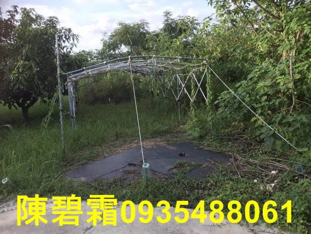 台南農地-7