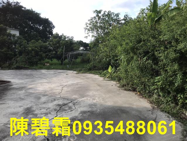 台南農地-8