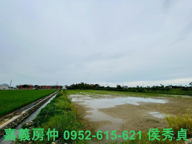 嘉義農地-2