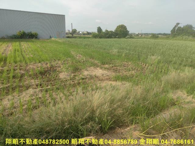 彰化溪湖農地-3