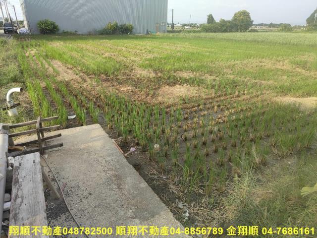 彰化溪湖農地-6