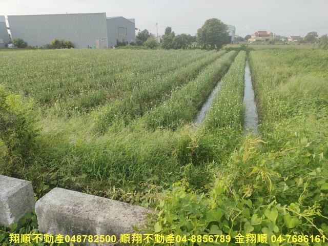 彰化溪湖農地-9