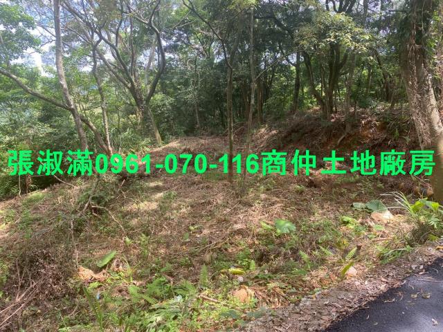 新竹關西農地-7