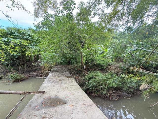高雄旗山山坡地-5