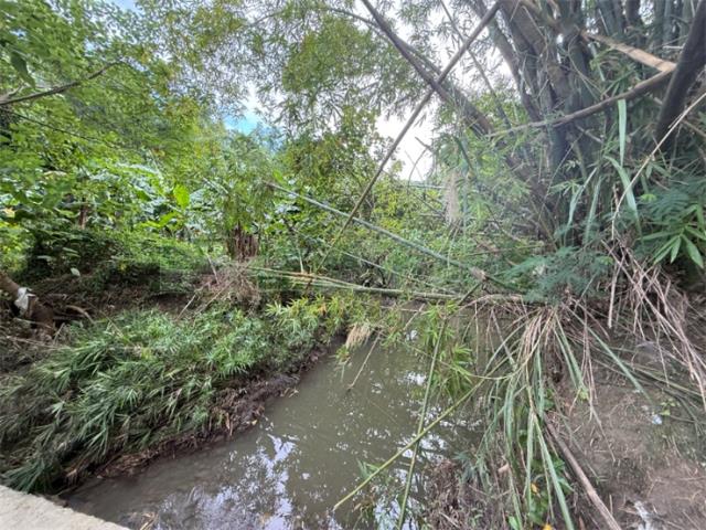 高雄旗山山坡地-6