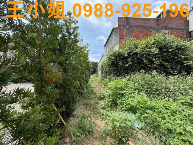 桃園八德建地-6