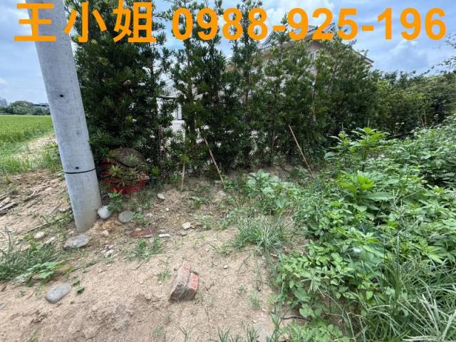 桃園八德建地-9