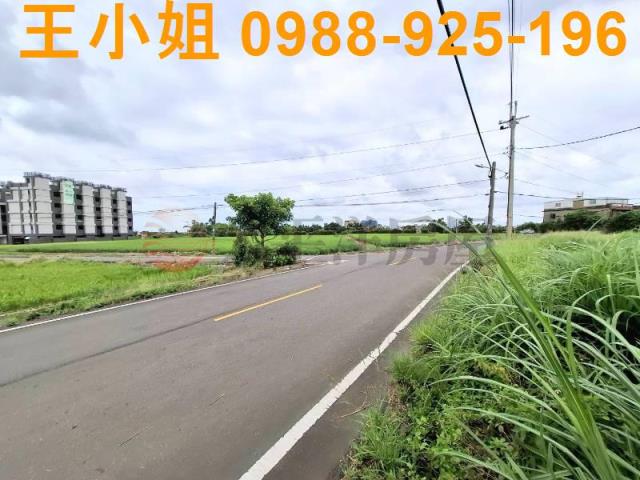 桃園觀音農地-1