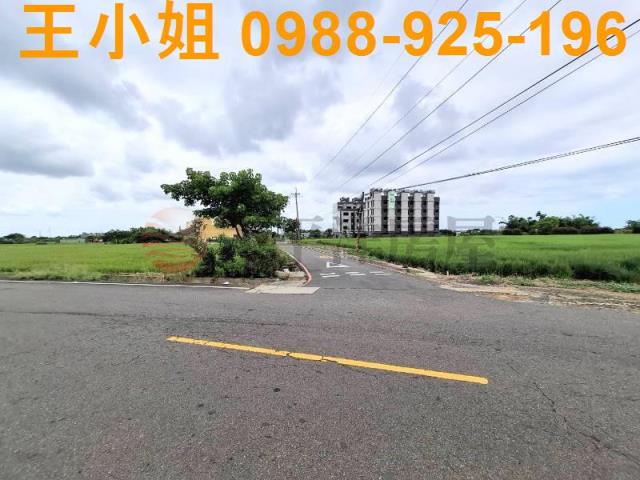 桃園觀音農地-3