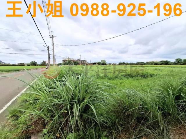 桃園觀音農地-9