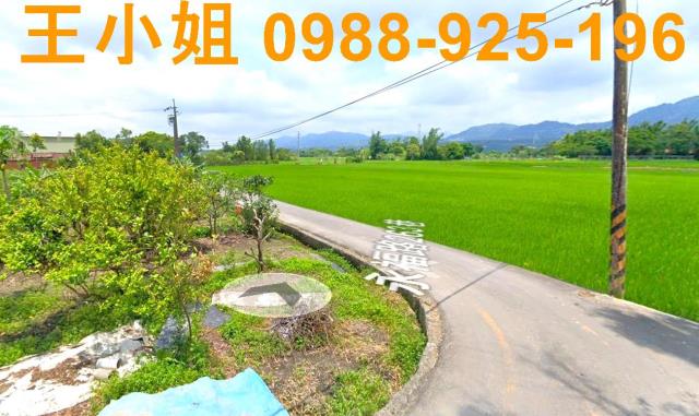 桃園龍潭農地-3