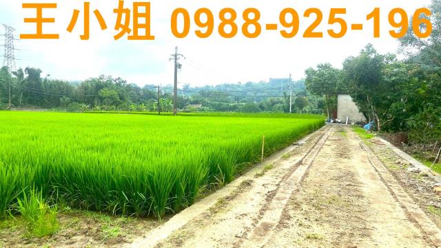 桃園龍潭農地-5