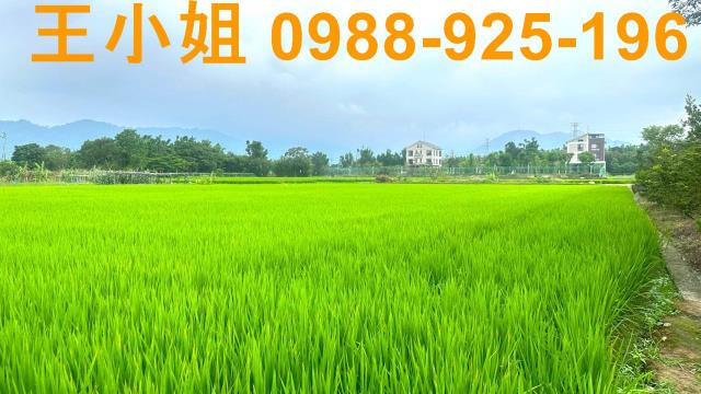 桃園龍潭農地-6