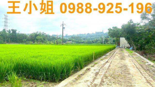 桃園龍潭農地-7