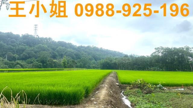 桃園龍潭農地-8