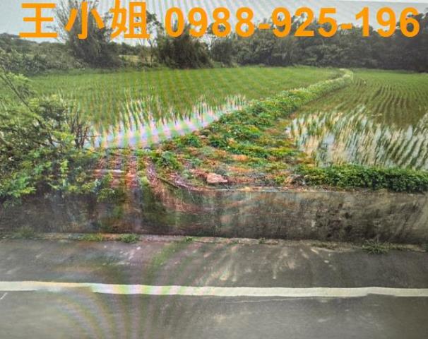 桃園新屋農地-1