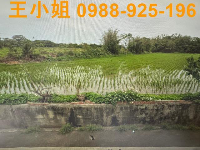 桃園新屋農地-2