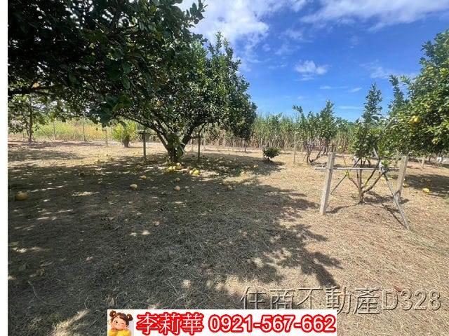 台南麻豆農地-8