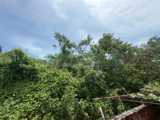 高雄美濃農地-6