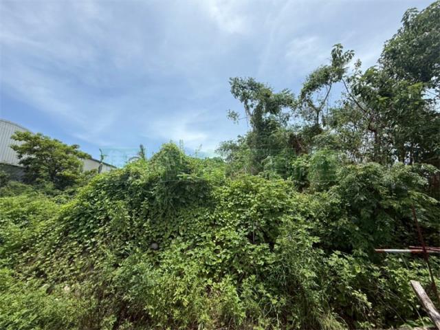 高雄美濃農地-8