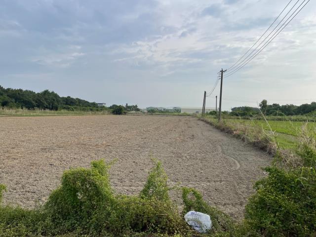 梓官農地-5