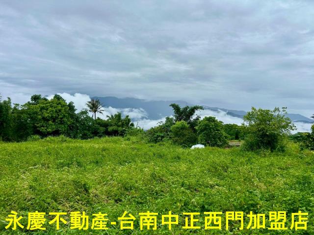 池上農地-3