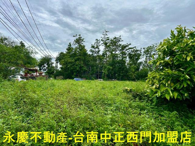 池上農地-8